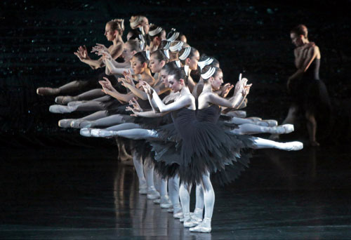 6-black-swans-cr