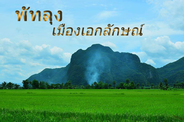 Grit1-THAIcr