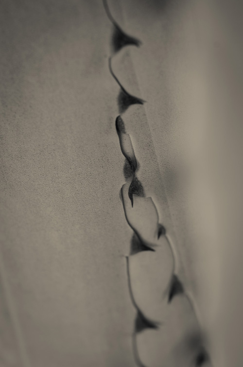 THE AGAVE UP CLOSE The Photography of Jon Rendell Scene4 Magazine May 2014 www.scene4.com