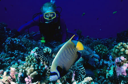 PeterDiving_Bermuda-crjpg