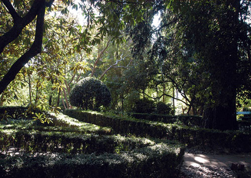 10.Chekhov_garden_Yalta-cr