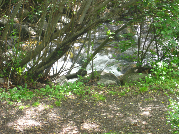 3.RushingCreek-cr 3.RushingCreek-cr
