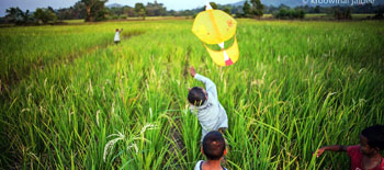 Beramas Kite Project - Arts of Thailand | Janine Yasovant | Scene4 Magazine September 2015  www.scene4.com
