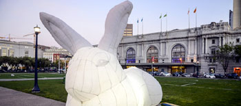 Bunny Invasion  | The Photography of Jon Rendell | Scene4 Magazine | May 2016  www.scene4.com