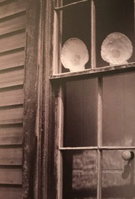 Photo10Window-cr Photo10Window-cr