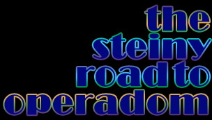 The Steiny Road with Karren Alenier www.scene4.com