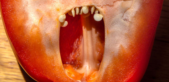 Pareidolia & Apophenia | Jon Rendell | Scene4 Magazine - July 2018 | www.scene4.com