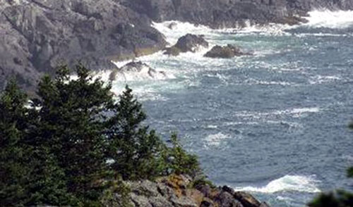 Photo3-Monhegan-cr Photo3-Monhegan-cr