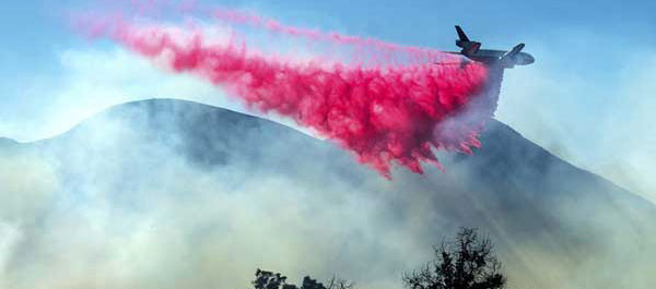 A Week in War-Zone California | Renate Stendhal | Scene4 Magazine | December 2019 | www.scene4.com