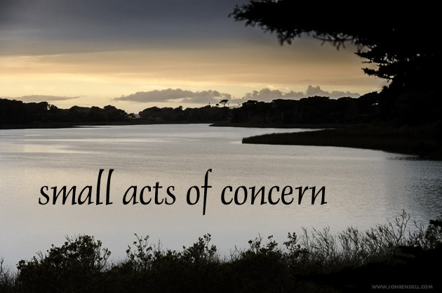 Small Acts of Concern |  Kim Chernin | Scene4 Magazine August 2020 | www.scene4.com