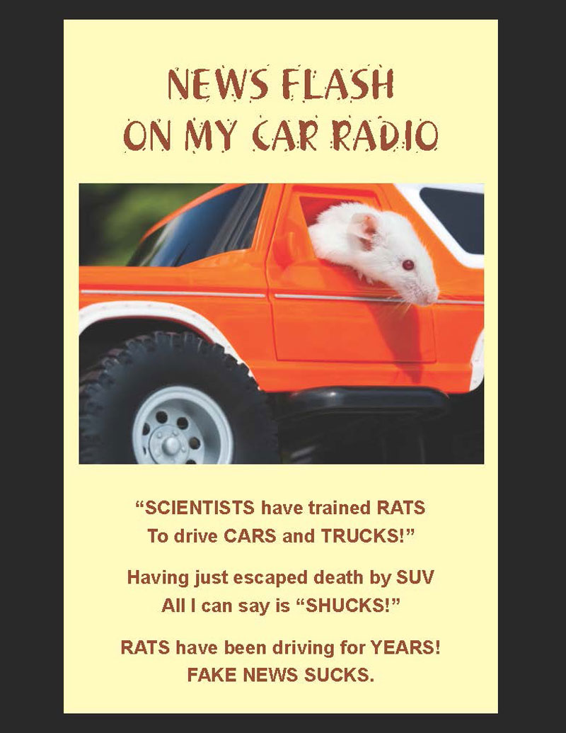 Visual Poems | 2020 | News Flash On My Car Radio | David Alpaugh | Scene4 Magazine-February 2020 | www.scene4.com