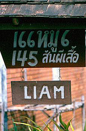 L1-cr