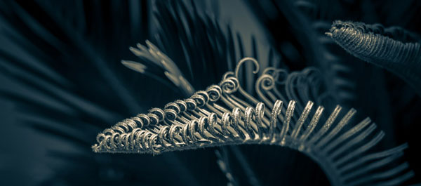 UNFURLING | Jon Rendell | Scene4 Magazine | March 2020 | www.scene4.com