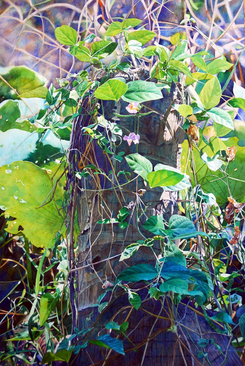 thumbnail_50x74-(1)-cr