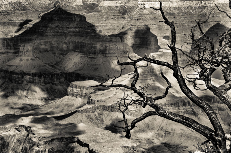 Postcards from the Grand Canyon | Jon Rendell | Scene4 Magazine | February 2021 | www.scene4.com