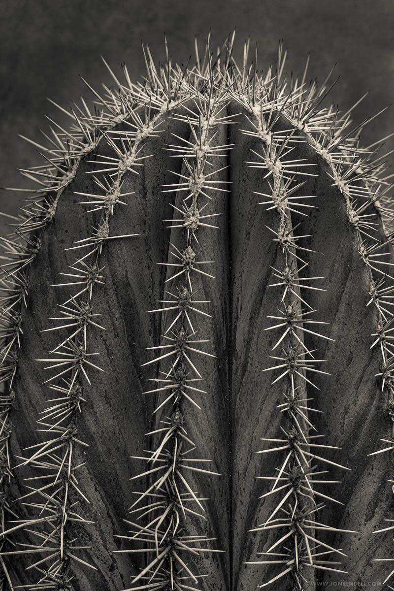 NATURE VS MAN-MADE | Jon Rendell | Scene4 Magazine | January 2021 | www.scene4.com
