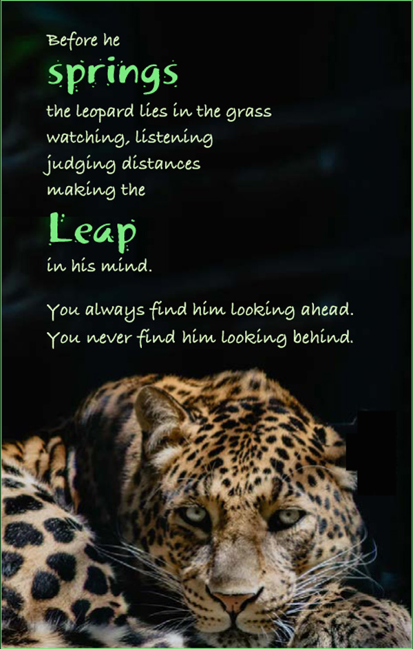 Visual Poems | David Alpaugh | Scene4 Magazine | July 2021 | www.scene4.com