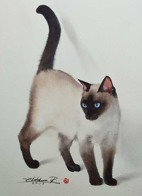 Cat-300-cr