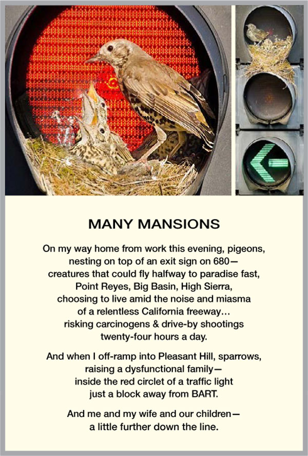 Visual Poems | David Alpaugh | Scene4 Magazine | October 2021 | www.scene4.com