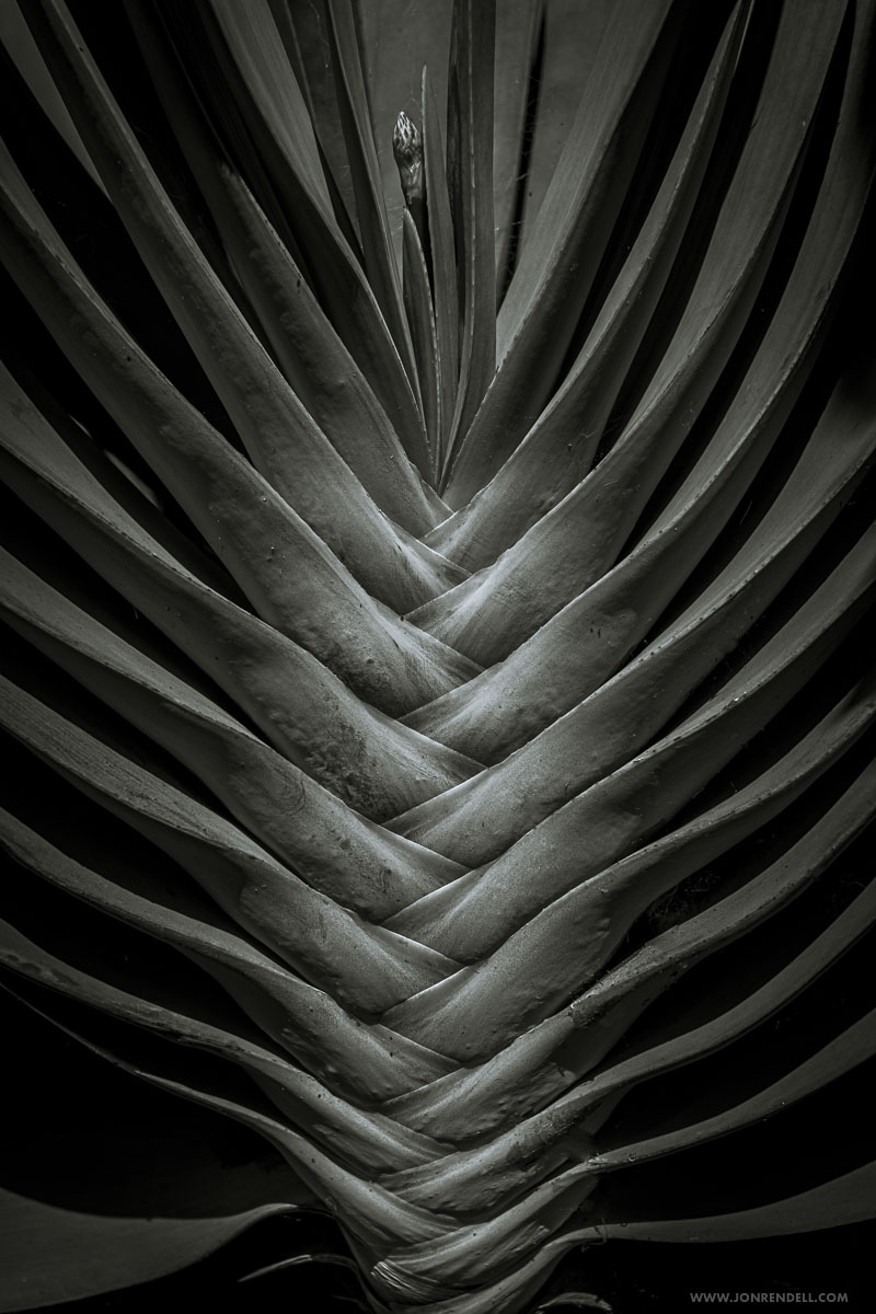ngv-03238