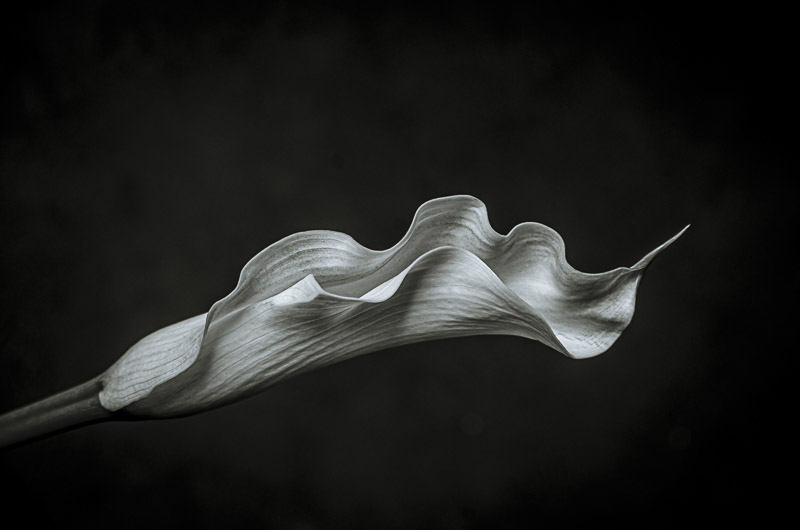 ARUM-2265