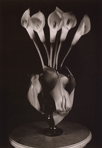 csPhoto-2-Lampshade