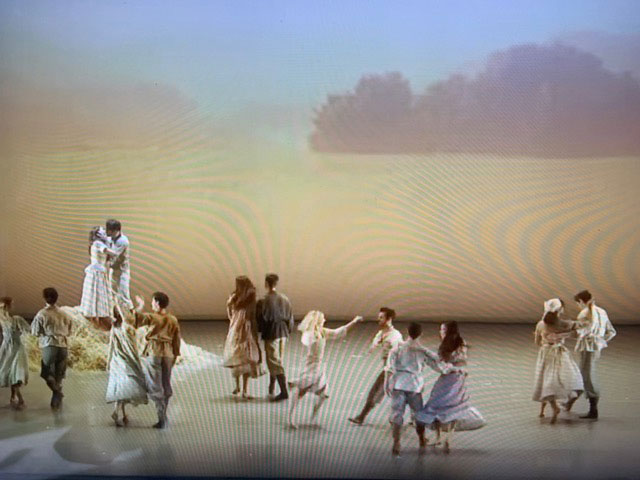 RS-10-Field-cr