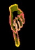 finger8-lft