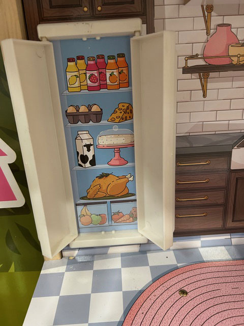 RS-6-Fridgejpeg-cr