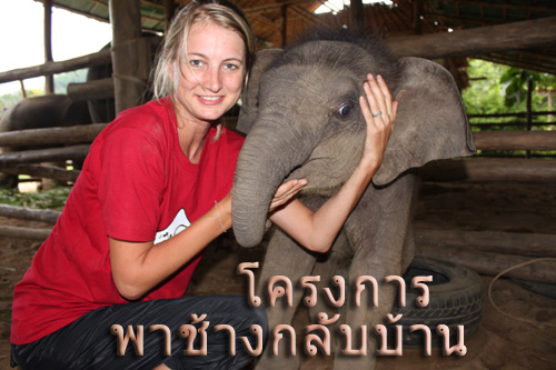 Scene4 Magazine: "Bringing Home the Elephant" | Janine Yasovant | April 2011 www.scene4.com