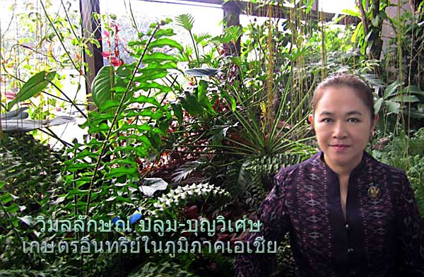 Scene4 Magazine: Arts of Thailand - Interview | Wimonlack Blom-Boonvises - Organic Farming In Asia | Janine Yasovant | August 2012 | www.scene4.com