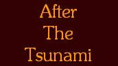 After
The
Tsunami