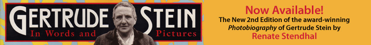 Gertrude Stein-In Words and Pictures - Renate Stendhal