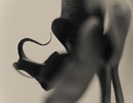 Scene4 Magazine: Perspectives-Images | A few Drops of Mapplethorpe and a Tincture of O'Keefe - The Photography of Jon Rendell | February 2013 | www.scene4.com