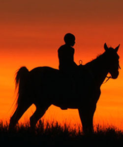 Scene4 Magazine -"One Who Falls Off Horses" - Les Marcott - January 2011 www.scene4.com