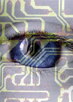 Scene4 Magazine - Special Issue - What is Obscenity and... what's not? | "Not Here" | Michael Bettencourt | January 2012