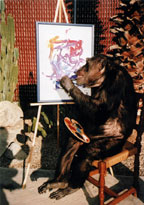 Scene4 Cheetah