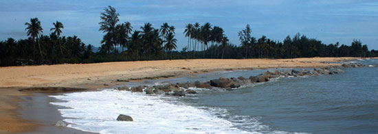 Pattani4-cr Pattani4-cr