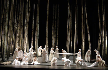 Onegin Birch Trees  Scene4 Magazine