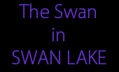 The Swan
in
SWAN LAKE