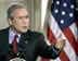 bush-cr