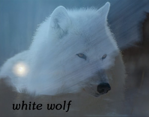 Scene4 Magazine: "White Wolf" | Griselda Steiner March 2011  www.scene4.com