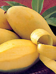 Scene4 Magazine - Arts of Thailand - Thai Food - The Glorious Mango | Janine Yasovant - www.scene4.com