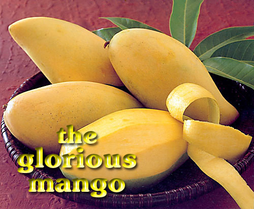 Scene4 Magazine - Arts of Thailand - Thai Food - The Glorious Mango | Janine Yasovant - www.scene4.com