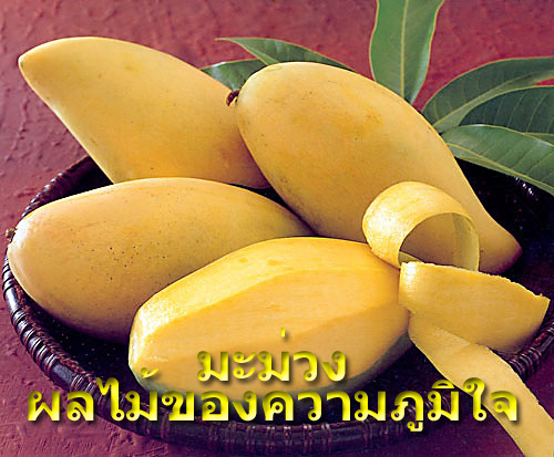 Scene4 Magazine - Arts of Thailand - Thai Food - The Glorious Mango | Janine Yasovant - www.scene4.com