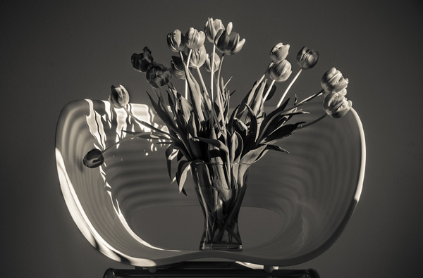Scene4 Magazine: Perspectives-Images | Flowers with Drama - The Photography of Jon Rendell | May 2012 | www.scene4.com