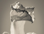 Scene4 Magazine: Perspectives-Images | Dead Daffodils - The Photography of Jon Rendell | May 2013 | www.scene4.com