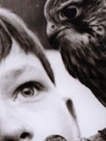 Scene4 Magazine - Ken Loach's "Kes"