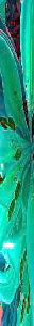 images2