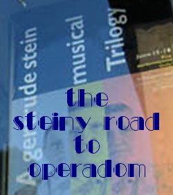 Scene4 Magazine-The Steiny Road  To Operadom